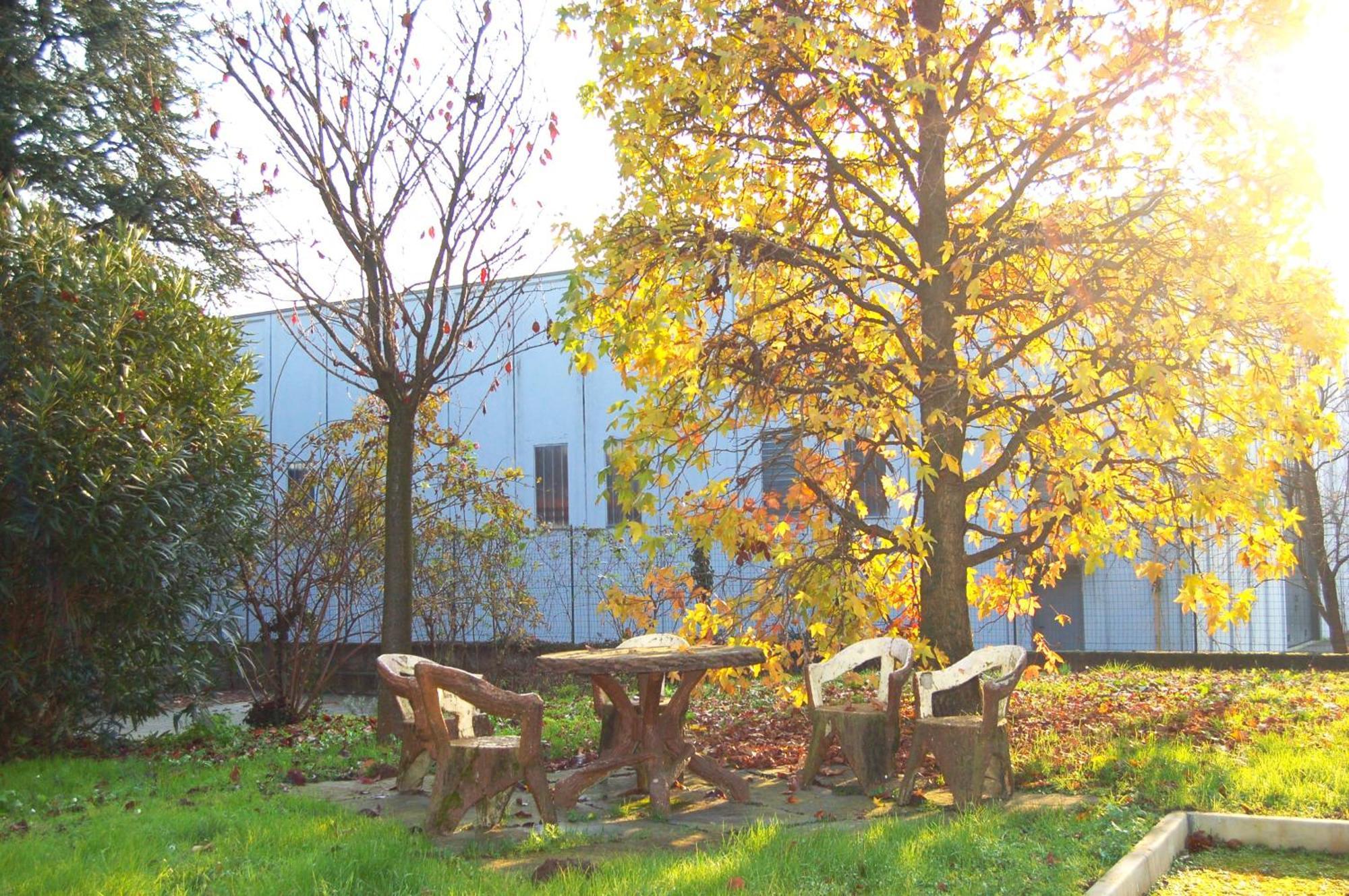 Modern Apartment Luci & Stelle Near Lake Como Nibionno Exteriör bild